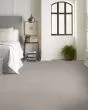 Secret Passage Pet Friendly 43oz Carpet