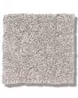 Secret Passage Pet Friendly 43oz Carpet