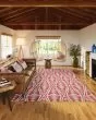 Sedona SN6 Clay Area Rug