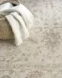 Shadows SHW07 Ivory Area Rug