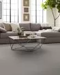 Shady Stroll Pet Friendly 43oz Carpet