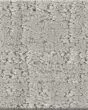 Shady Stroll Pet Friendly 43oz Carpet