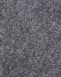 Sheer Essence Textured SmartStrand Carpet