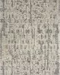 Silk Shadows SHA19 Ivory Grey 2'x3' Area Rug