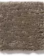 Sketch Dash Carpet