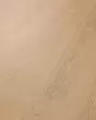 Oak Crest Sherwood Tan 7"x50" Laminate