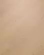 Komondor Desert Sandstone 9"x72" Laminate