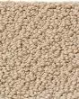 Smart Thinking Textured Loop Nylon Carpet