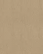 Smart Thinking Textured Loop Nylon Carpet
