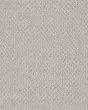 Smart Thinking Lady in Gray Carpet