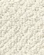 Smart Thinking Textured Loop Nylon Carpet