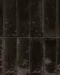 Sodo Nero Glossy Porcelain Tile