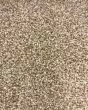 Tonal 60 Ancient Treasure 58oz Carpet