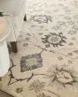 Springfield 8A48F Ivory/Tan/Gray Area Rug