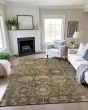 Silk Road SR11 Fern Area Rug