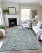 Silk Road SR1 Denim Area Rug