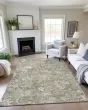Silk Road SR2 Aloe Area Rug