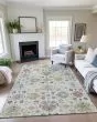 Silk Road SR3 Ivory Area Rug