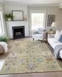 Silk Road SR3 Turmeric Area Rug