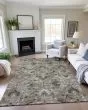 Silk Road SR4 Pewter Area Rug