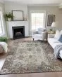 Silk Road SR5 Chocolate Area Rug