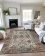 Silk Road SR5 Copper Area Rug