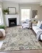 Silk Road SR5 Putty Area Rug
