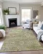 Silk Road SR9 Sage Area Rug