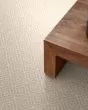 Stroll Patterned Nylon 31oz Carpet
