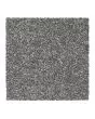 Stylish Grace Textured 55oz SmartStrand Carpet