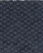 Subtle Allure Patterned SmartStrand Carpet