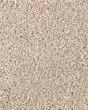 Subtle Tones Textured SmartStrand 57oz Carpet