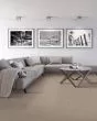 Subtle Tones Textured SmartStrand 57oz Carpet