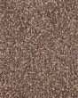 Subtle Tones Textured SmartStrand 57oz Carpet