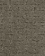 Superior Honor Patterned SmartStrand Carpet