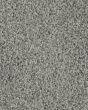 Superior Selection Textured SmartStrand Carpet