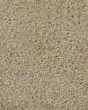 Superior Selection Downy Lustre Carpet