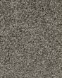 Superior Selection Taupe Shadow Carpet