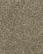 Superior Selection Warm Fog Carpet