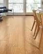 Albright Red Oak 5" Caramel Hardwood