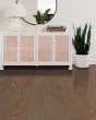 Eclectic Red Oak Art Deco 5" Hardwood