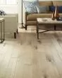 Eclectic Maple Deco 5" Hardwood