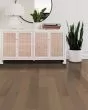 Eclectic Maple Deco 5" Hardwood
