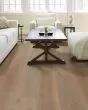 Expressions 9.5" Kinetic White Oak Hardwood