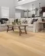Natural Classics Hard Maple 5" Hardwood