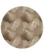 Seabreeze SZ3 Taupe Area Rug