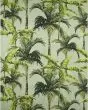 Tropics TC10 Aloe Area Rug