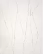 Tempo Valore Quartz Countertop