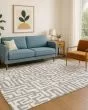 The Reserve TR1 Gray Area Rug