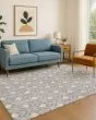 The Reserve TR10 Gray Area Rug
